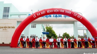 O vice-secretário do Comitê do Partido da cidade, Nguyen Phuoc Loc, afirmou: "Estamos enviando médicos qualificados e abrindo uma segunda unidade para os principais hospitais de Binh Duong."