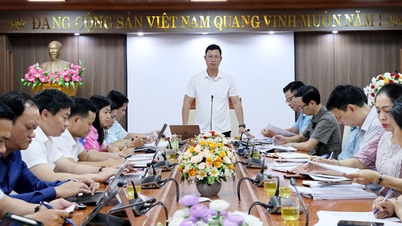 Le Conseil populaire provincial de Bac Ninh supervise la gestion, la préservation et la promotion de la valeur des vestiges historiques.