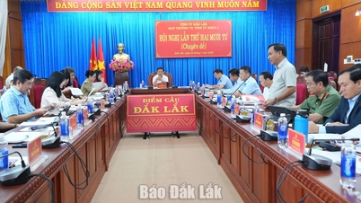 Pertemuan Komite Tetap Partai Provinsi: Berfokus pada penghapusan hambatan dan pengembangan aspek sosial-ekonomi.