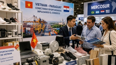 Paraguay – ein Tor für vietnamesische Waren zum Mercosur-Markt.