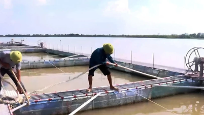 Hung Yen: Mengambil tindakan tegas untuk melindungi puluhan ribu hektar pengeluaran pertanian dan akuatik daripada Taufan No. 01.