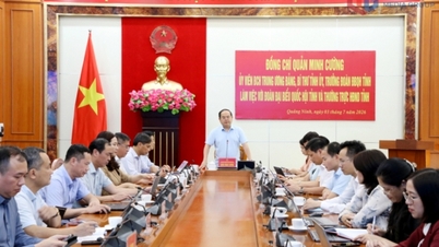 Continue to further enhance the role and responsibilities of elected representatives and bodies.