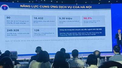 Dokter-dokter Vietnam dengan keahlian yang mumpuni dan kemampuan berbahasa Inggris yang baik menarik pasien asing.