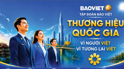 Laut Brand Finance wird Bao Viet im Jahr 2026 zu den zehn stärksten Marken in Vietnam gehören.