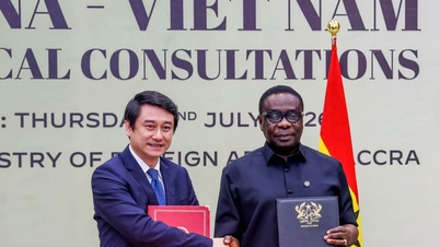 Ghana mengajak perusahaan-perusahaan Vietnam untuk berinvestasi di bidang pertanian, pertambangan, infrastruktur, kendaraan listrik, dan energi terbarukan.