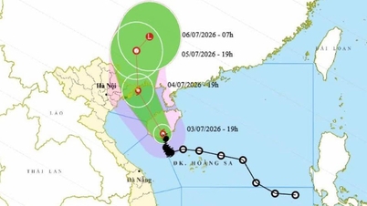 Typhoon No. 1 is forecast to hit Quang Ninh, with some areas in 4 northeastern provinces receiving over 500mm of rain.