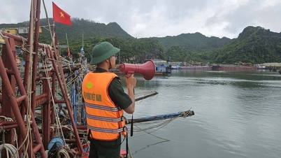 Hai Phong: Pengawal sempadan menggesa kapal dan nelayan untuk mencari tempat selamat untuk berlindung daripada ribut.