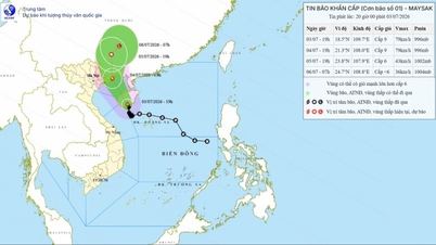 Ultimo aggiornamento sulla tempesta: il tifone MAYSAK (tifone n. 1) si trova a 360 km da Quang Ninh e porterà pioggia su un'area di oltre 500 km a partire da stasera (3 luglio).