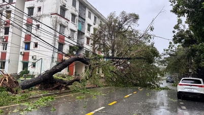 Topan No. 1 berada lebih dari 300 km dari Mong Cai (Quang Ninh), dengan kecepatan angin mencapai level 11.