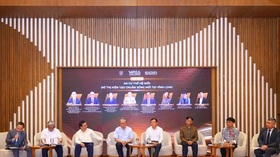 Creating new development momentum for Vinh Long
