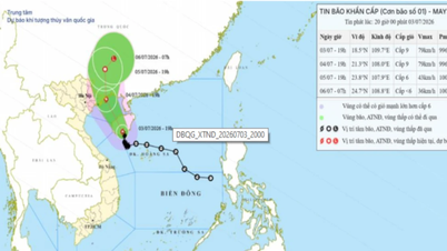 台風1号は7月4日夜からラオカイ省に中程度から非常に激しい雨をもたらした。