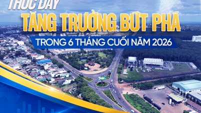 ដាក់ឡាក់៖ ជំរុញកំណើនដ៏លេចធ្លោក្នុងរយៈពេលប្រាំមួយខែចុងក្រោយនៃឆ្នាំ ២០២៦