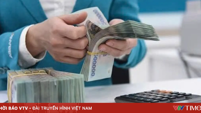 בששת החודשים הראשונים, הכנסות התקציב שנגבו דרך מערכת האוצר הגיעו ל-1,547 טריליון וונד וייטנאמי.
