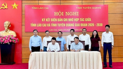 Lao Cai dan Tuyen Quang menandatangani perjanjian kerjasama.