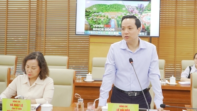 Maakunnan kansankomitean puheenjohtaja Le Hai Hoa työskentelee VDCD-ryhmän kanssa maakunnan innovaatiokeskuksen perustamisen suunnan parissa - Cao Bang -verkkolehti