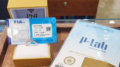 ដោយ​ធ្លាប់​បាន​ប្រកាស​ពី​ចំណែក​ទីផ្សារ 70% ក្នុង​ការ​ធ្វើ​តេស្ត​ត្បូង តើ P-Lab ដើរតួនាទី​អ្វី​នៅ PNJ?