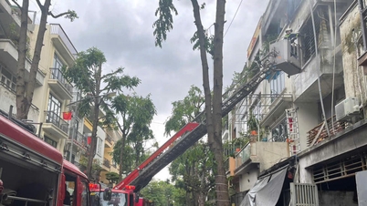 Der Vorsitzende von Hanoi hat eine dringende Untersuchung der Brandursache in dem Haus im Stadtteil Kien Hung angeordnet.