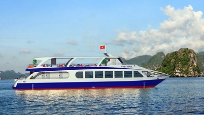Quang Ninh: Temporary suspension of vessel operating permits in the sea area from 5 PM on July 3rd.