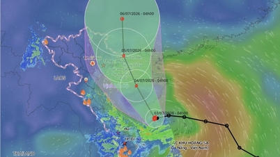 Az 1-es számú tájfun július 4-én délutántól erősödik fel, és Quang Ninh, valamint Hai Phong tartományokat érinti.
