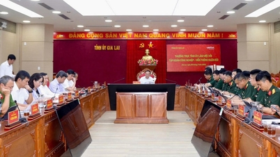 Gia Lai og Viettel styrker samarbejdet inden for digital transformation.