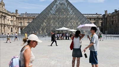 France and Belgium report a sharp increase in deaths during the extreme heatwave.