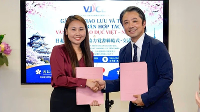 Posílení aktivit v oblasti vzdělávání mezi Vietnamem a Japonskem.