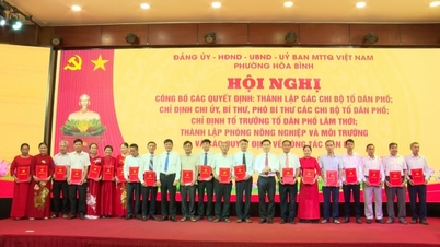 Setelah penggabungan yang sukses, Kelurahan Hoa Binh, Provinsi Phu Tho (dahulu Provinsi Hoa Binh) menunjuk 40 ketua kelompok lingkungan.