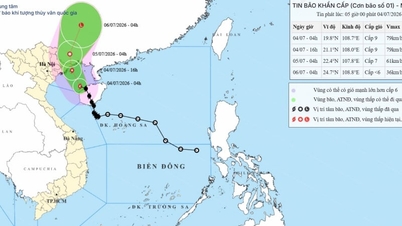 Update badai terbaru: Topan MAYSAK (Topan No. 1) mendekati wilayah laut Quang Ninh; hujan lebat diperkirakan terjadi di seluruh wilayah Timur Laut, dengan beberapa daerah menerima curah hujan lebih dari 500 mm.