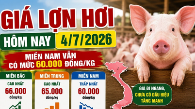 Precios de la carne de cerdo hoy, 4 de julio: Todavía no hay señales de aumento.