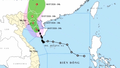 Typhoon No. 1, with gusts reaching level 11, entered the Gulf of Tonkin, 110km from Bach Long Vi.