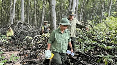 DONG NAI CITY AGRICULTURE AND ENVIRONMENT FUND PROMOTES FOREST DEVELOPMENT: Protecting and sustainably developing forests from the Forest Environmental Services Fund.