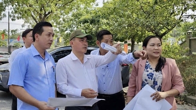Trang Dai-distriktet, Dong Nai City: Snabbare försköning av städer och uppgradering av transportinfrastrukturen.