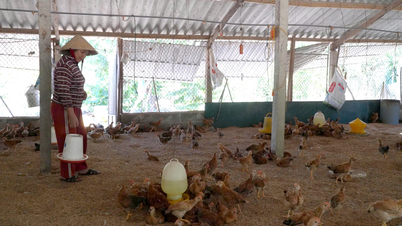 Mempelbagaikan ternakan meningkatkan nilai ekonomi.