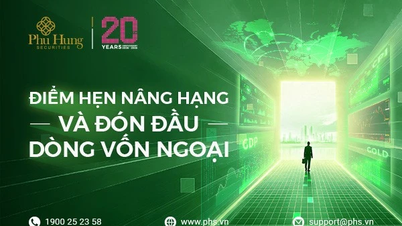 Выявление инвестиционных возможностей во второй половине 2026 года в условиях нестабильного рынка.