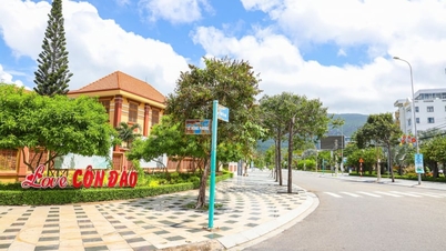 Sau sắp xếp, sáp nhập thành công, đặc khu Côn Đảo, TPHCM còn 6 khu dân cư, đây là 6 Trưởng khu dân cư chỉ định