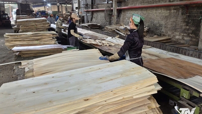 Dòng vốn ngân hàng góp phần thúc đẩy tăng trưởng cho doanh nghiệp