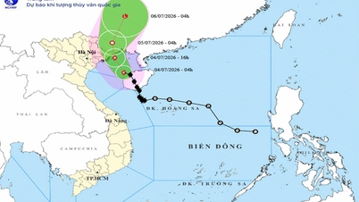 Tyfoon Maysak (Tyfoon nr. 1) is vanmiddag de Golf van Tonkin binnengedrongen, met het centrum boven de zee voor de kust van de provincie Quang Ninh.