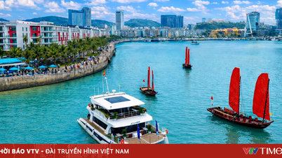 Quang Ninh: Sürdürülebilir yeşil turizm ekosisteminin oluşturulmasında öncü.