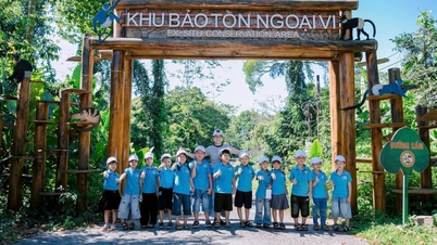 Der Cuc Phuong Nationalpark weckt Erinnerungen an Geschichte und die Farbe Grün.