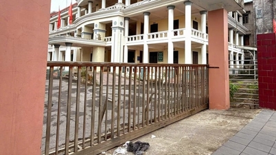 Ninh Bình chi gần 9 tỷ đồng thuê dịch vụ trông coi, bảo quản cơ sở nhà, đất dôi dư