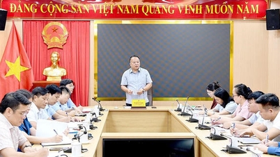 Tuyen Quang صوبے کے چیئرمین نے ریاضی میں ہائی اسکول کے گریجویشن امتحان کے نتائج کی تحقیقات کا حکم دیا ہے۔