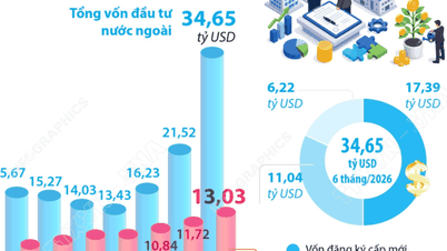 Nei primi sei mesi del 2026, gli investimenti esteri totali registrati in Vietnam sono aumentati del 61%.
