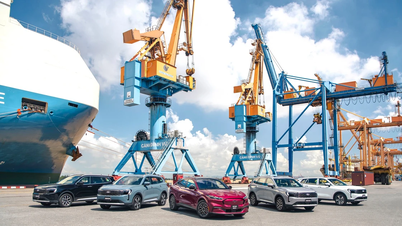 Ford Vietnam senkt die Preise aggressiv und verlängert die Garantien für eine Reihe seiner Modelle.
