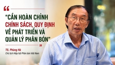 ນະໂຍບາຍ ແລະ ລະບຽບການກ່ຽວກັບການພັດທະນາ ແລະ ການຄຸ້ມຄອງປຸ໋ຍຈຳເປັນຕ້ອງໄດ້ຮັບການສຳເລັດ.