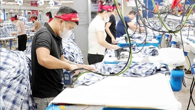 Quang Tri si concentra sull'attrazione di capitali di investimento di alta qualità.