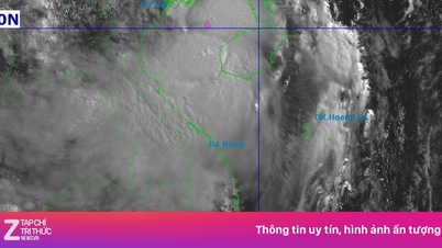 Sirkulasi Topan No. 1 mendekati pantai Quang Ninh dan Hai Phong, menyebabkan hujan yang sangat lebat.