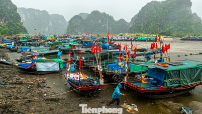 Tajfun č. 1 se blíží k Quang Ninh; rybáři se staví proti dešti, aby zajistili své lodě a ochránili je před bouří.