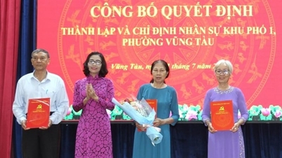 Vung Tau kerület átszervezi a városrészeket és korszerűsíti az adminisztratív apparátust.