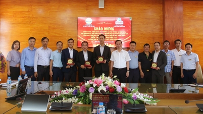 De Nam Dinh Universiteit voor Technologie en Onderwijs breidt de samenwerking met het TOYOTA Universiteitssysteem in Japan uit – en creëert zo een traject dat leren, werken en internationale integratie voor studenten combineert.