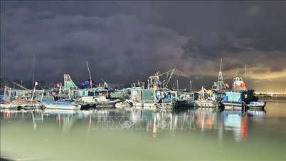 Quang Ninh racet tegen de klok en reageert met spoed op tyfoon nummer 1.
